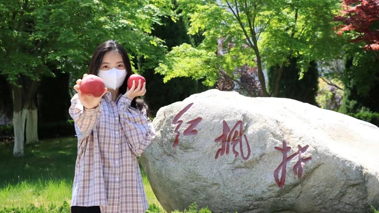 赏金船长·PG(中国游)官方网站