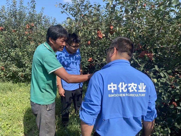 赏金船长·PG(中国游)官方网站