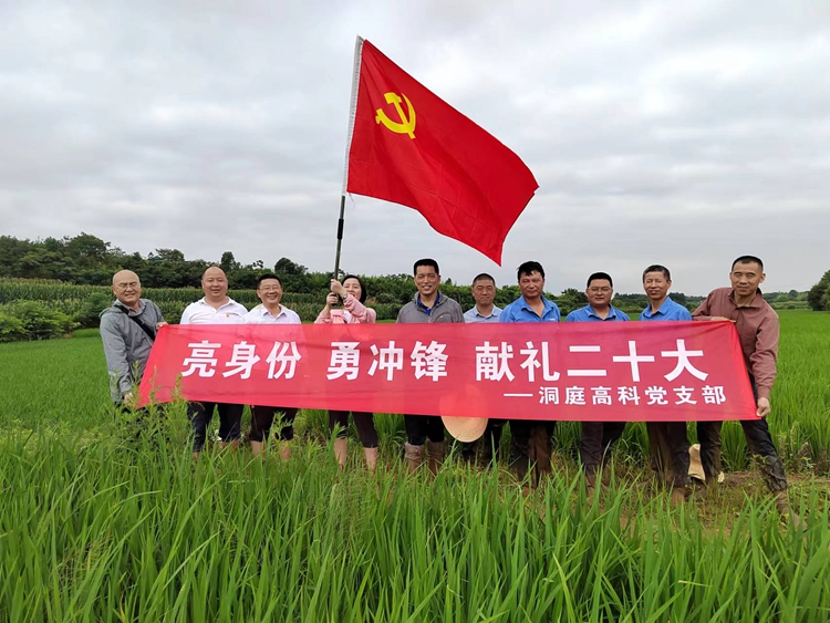 赏金船长·PG(中国游)官方网站