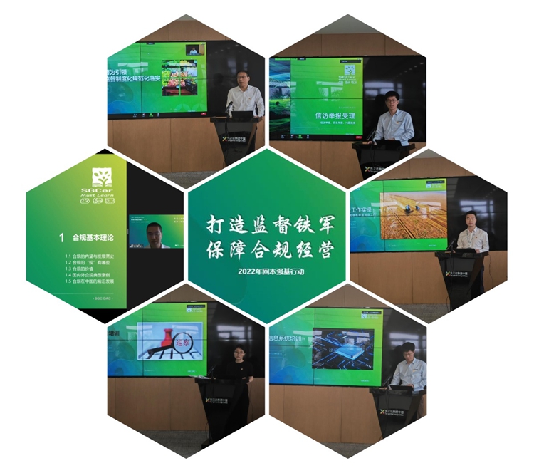 赏金船长·PG(中国游)官方网站