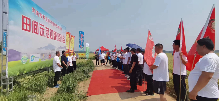 赏金船长·PG(中国游)官方网站