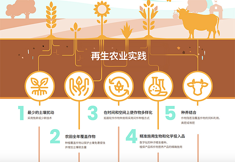 3-附图 赏金船长·PG(中国游)官方网站