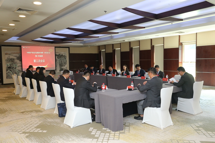 第三代表团.JPG 赏金船长·PG(中国游)官方网站