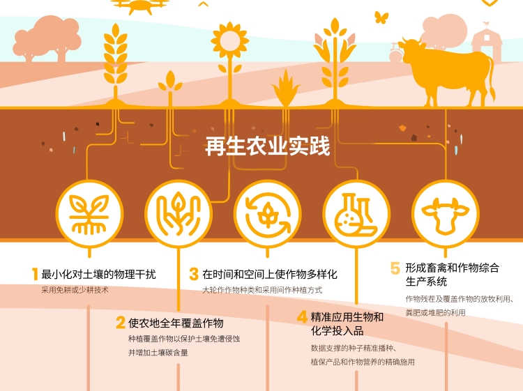 赏金船长·PG(中国游)官方网站