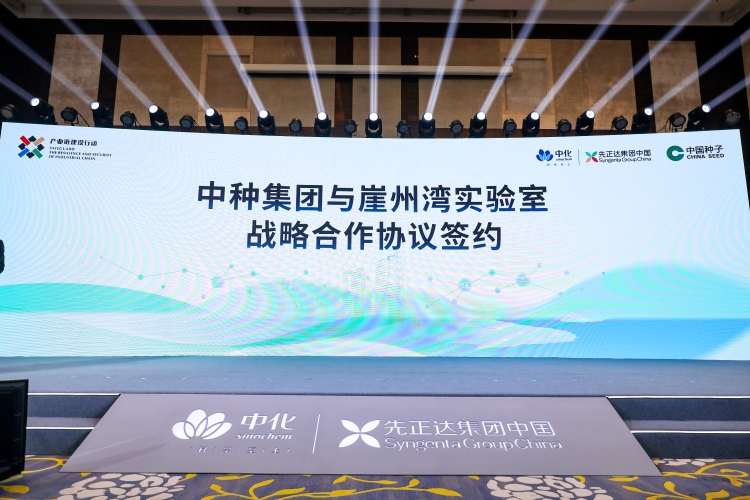 赏金船长·PG(中国游)官方网站