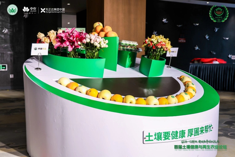 赏金船长·PG(中国游)官方网站