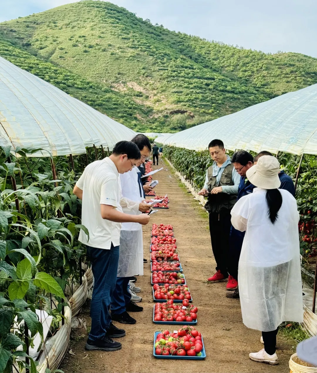 赏金船长·PG(中国游)官方网站