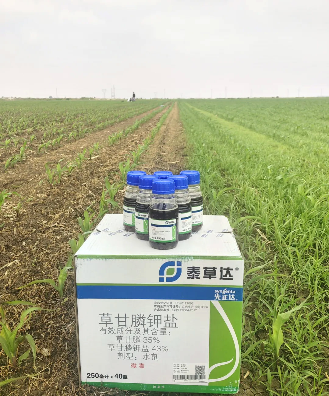 赏金船长·PG(中国游)官方网站
