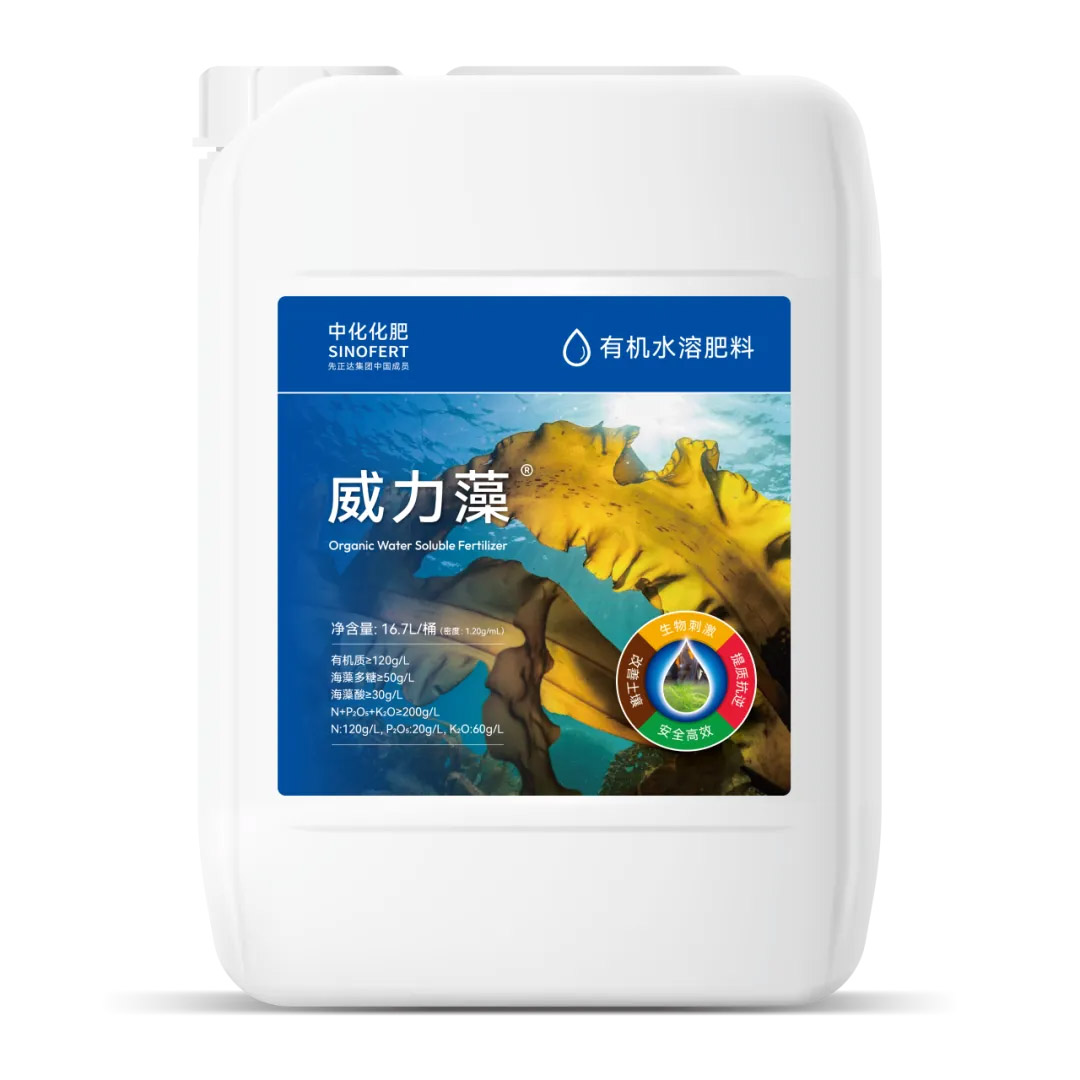 赏金船长·PG(中国游)官方网站