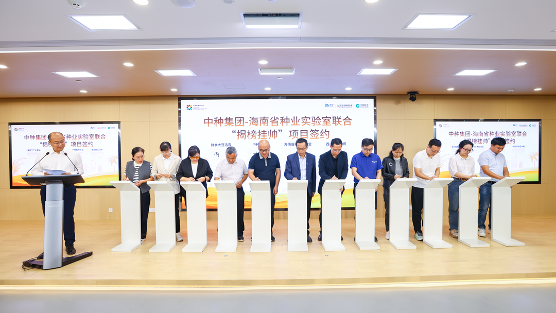 赏金船长·PG(中国游)官方网站