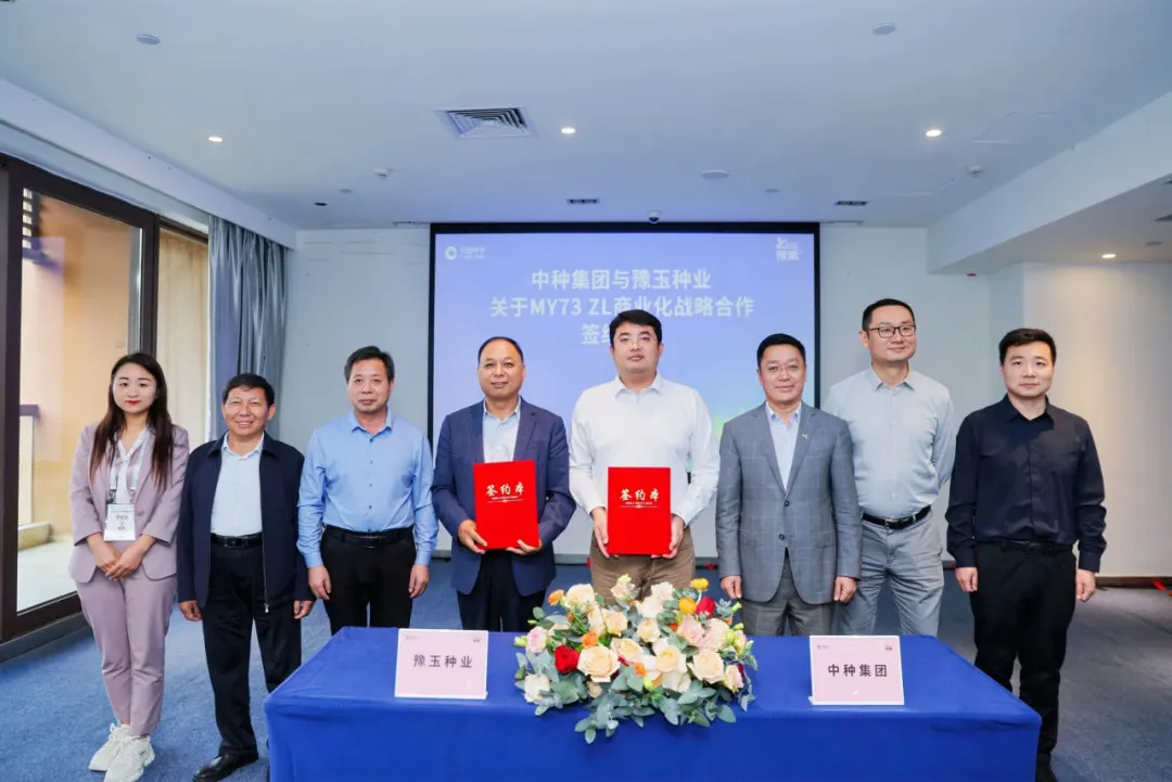 xingzhuang005 赏金船长·PG(中国游)官方网站