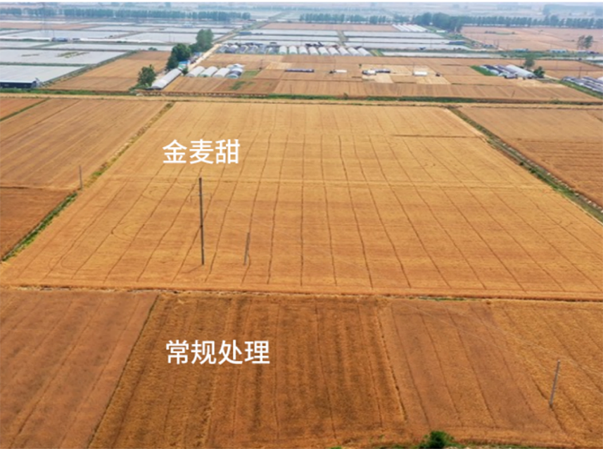 【官微SGC】春耕新品终稿1387 赏金船长·PG(中国游)官方网站