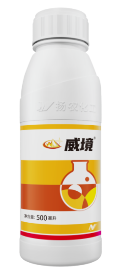 【官微SGC】春耕新品终稿353 赏金船长·PG(中国游)官方网站