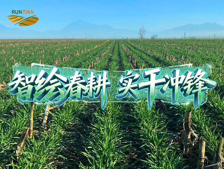 “润田”六年：让泥土“活”起来，让产量“提”上去