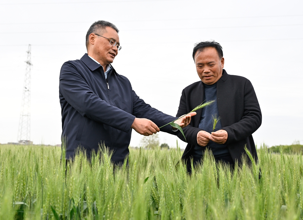 微信图片_20260507232944 赏金船长·PG(中国游)官方网站
